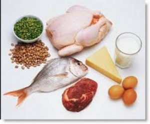 protein sources